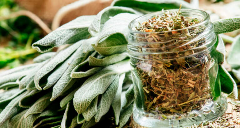 Poor Man Spices — How People In The Past Actually Seasoned Their Food