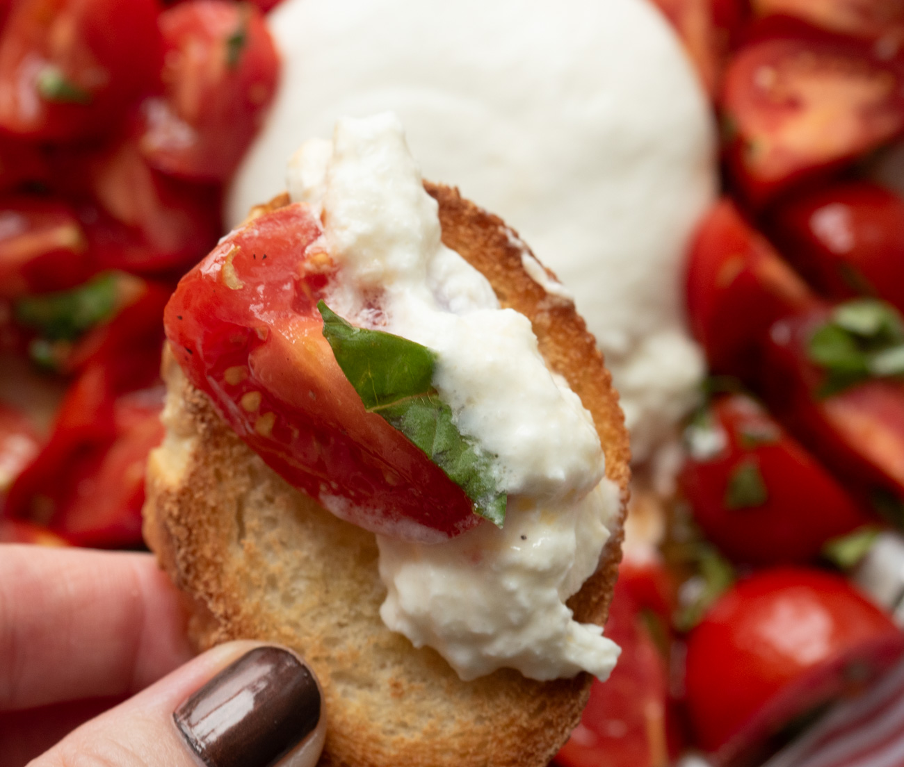 Gooey Burrata Salad