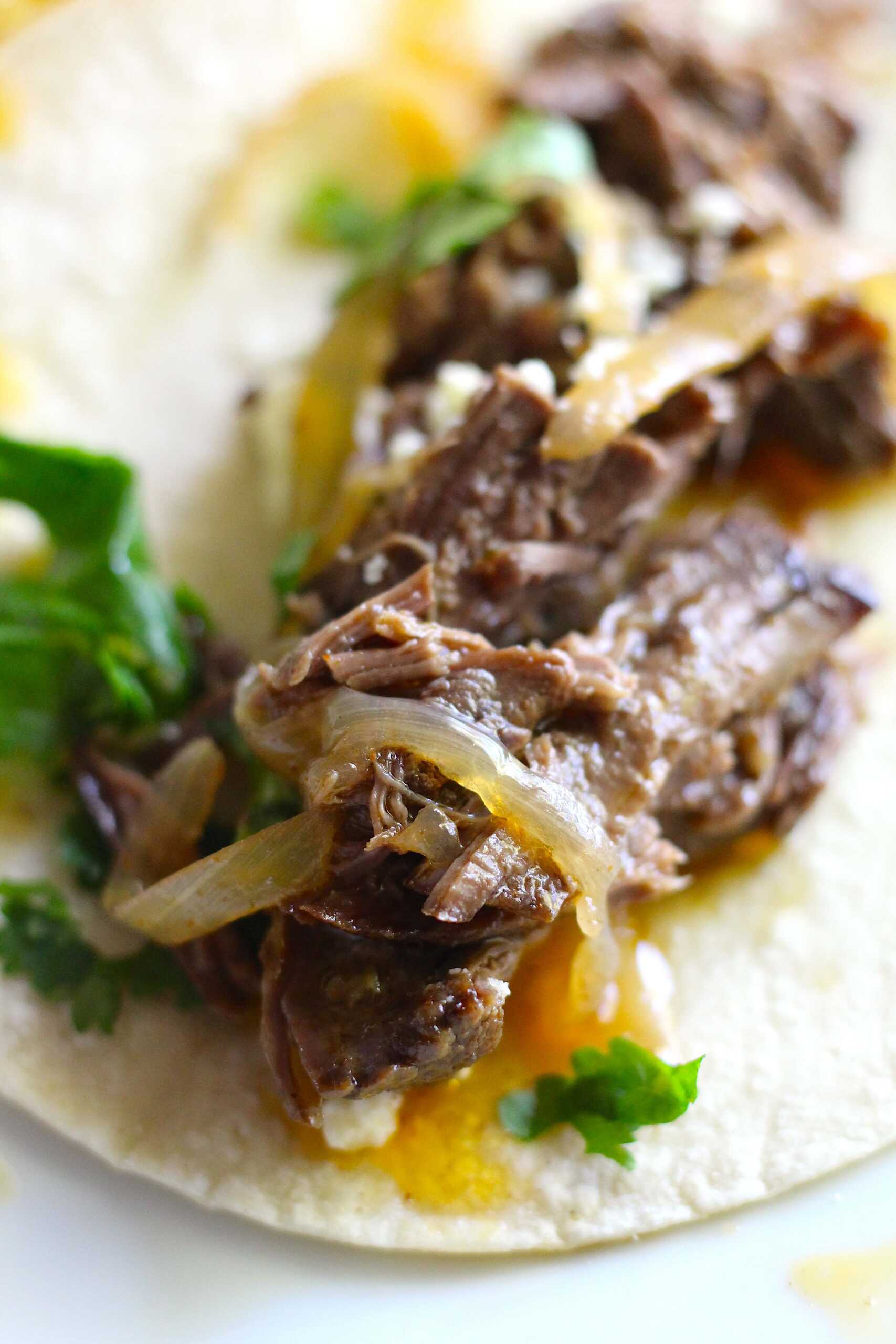 Mexican Shredded Beef 10