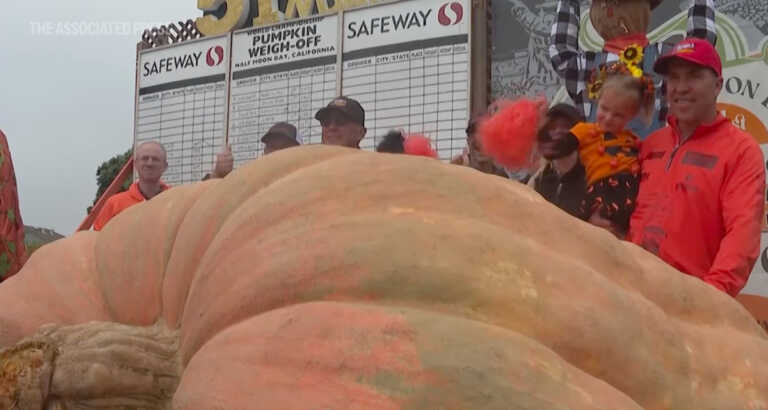 Minnesota Teacher Wins Pumpkin Growing Contest