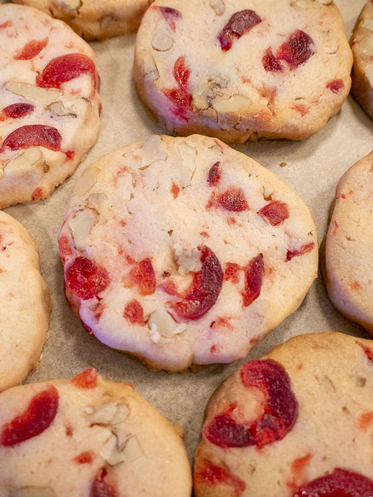 Recipe Tin Project: Ann Roger's Christmas Cookies-image