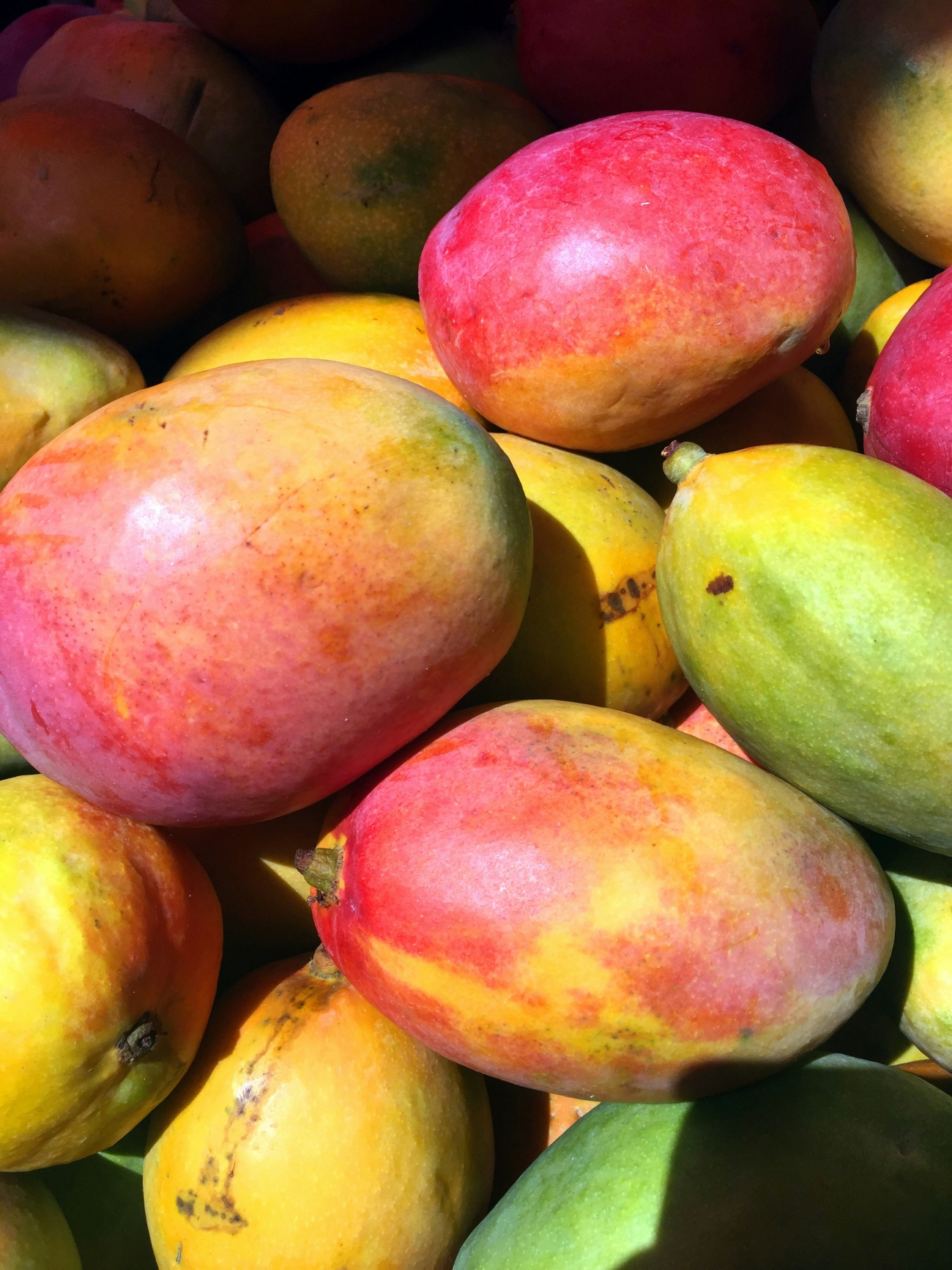 Pile of Mangoes