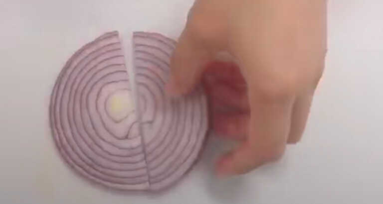 An Untraditional Way To Cut Onions Into The Perfect Size For Tex-Mex Recipes