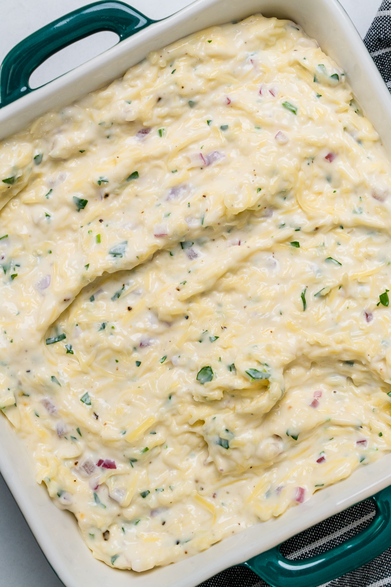 Jarlsberg Cheese Dip Vert-17