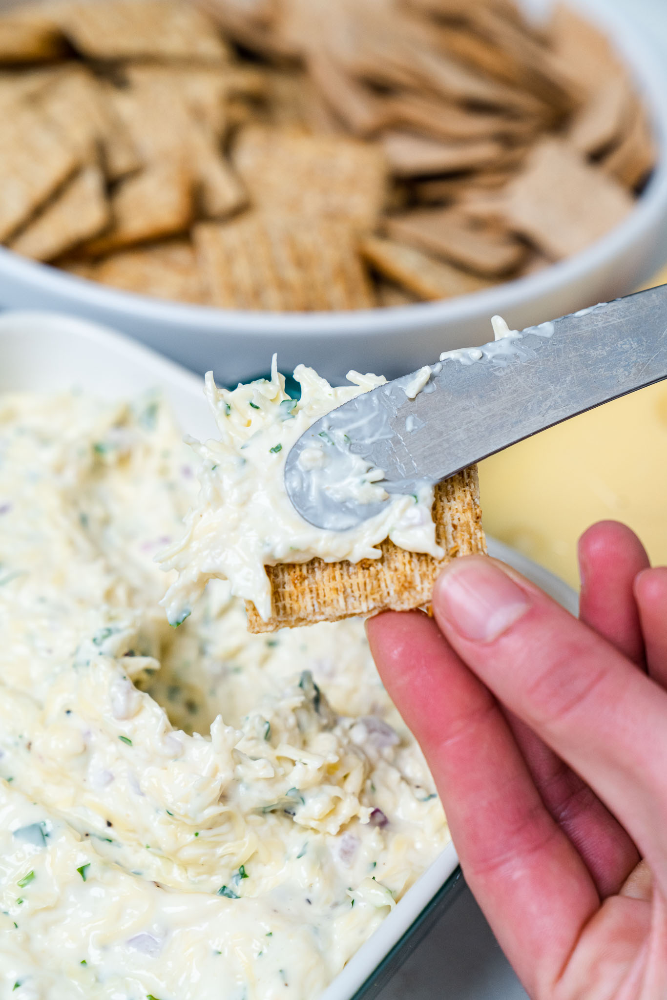 Jarlsberg Cheese Dip Vert-08
