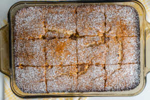 Jamaican Toto Cake Hori-04