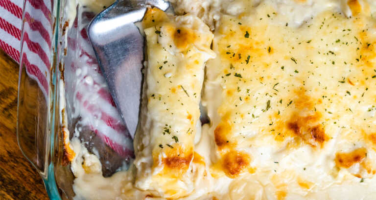 Chicken Alfredo Manicotti