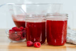 Raspberry Refresher Horizontal 3