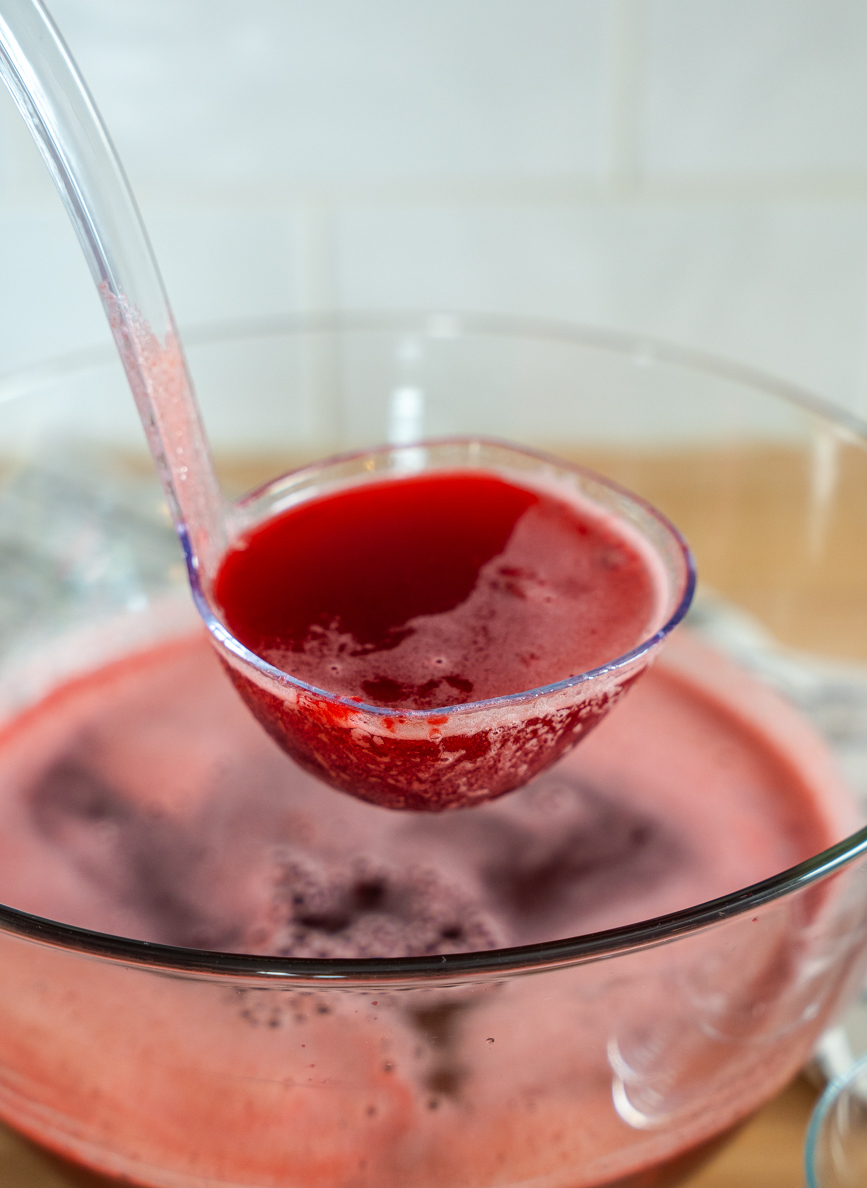 Raspberry Refresher Vertical 5