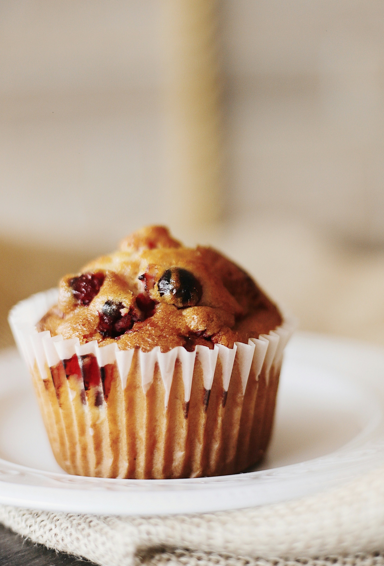 Muffin in Paper Liner