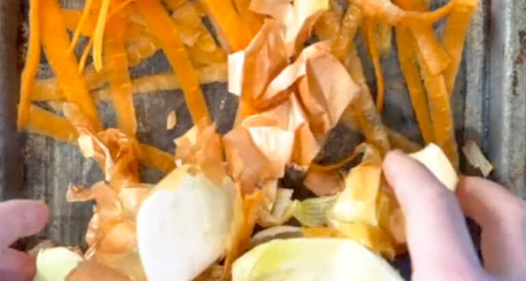 Use Scraps To Make A Flavorful Multipurpose Seasoning