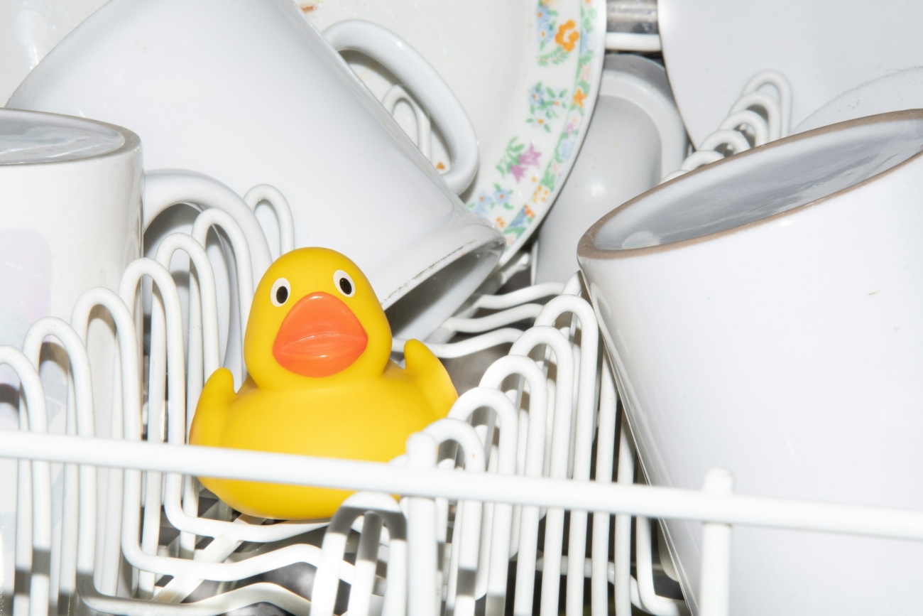Dishwasher with a Duck Toy Inside