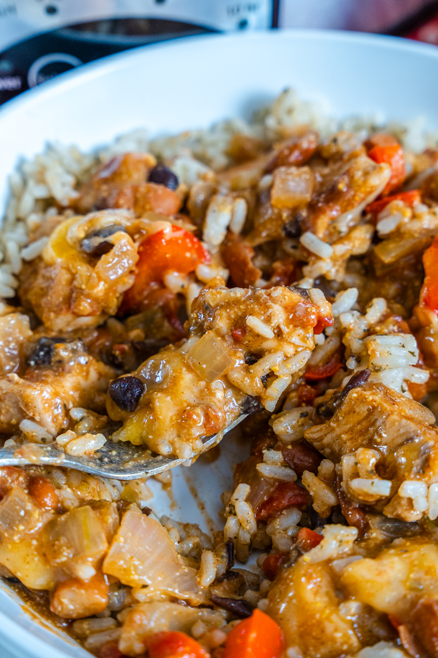 Tex Mex Crock Pot Dinner Vertical 14