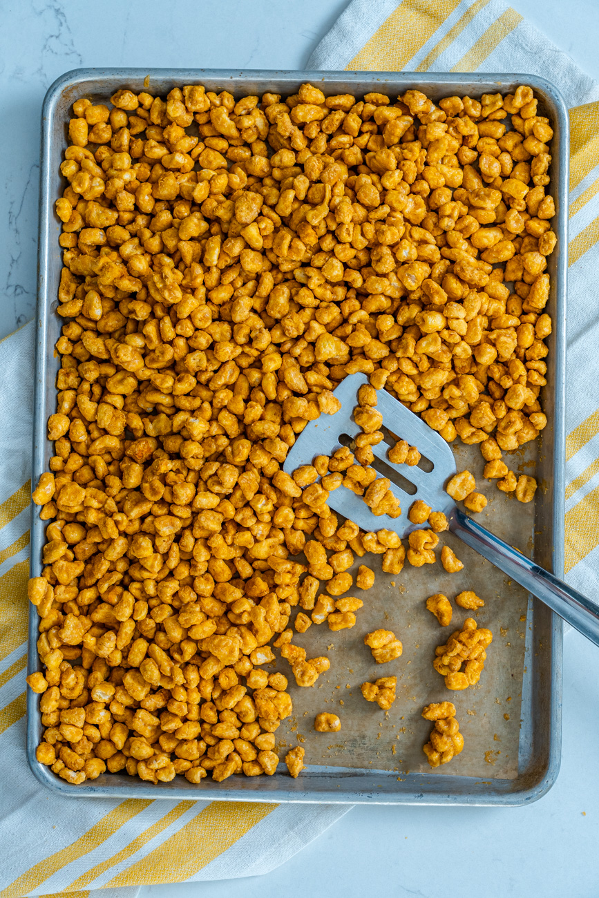 Texas Beaver Nuggets Vertical 20