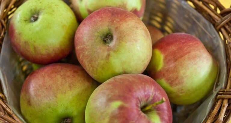 Apple Varieties From Different Growing Regions