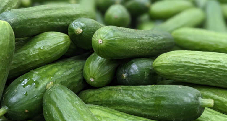 Which Cucumber For Which Recipe