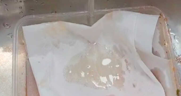 Do This Before Washing Your Oily Plastic Container