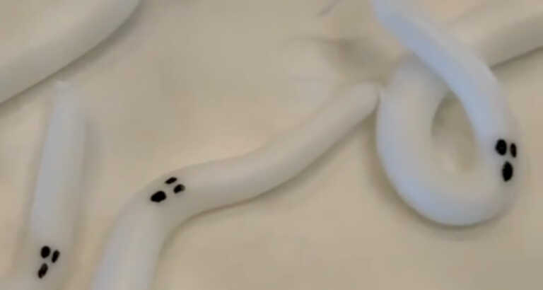 These Ghostly Ghoulish Candles Can Be Made At Home