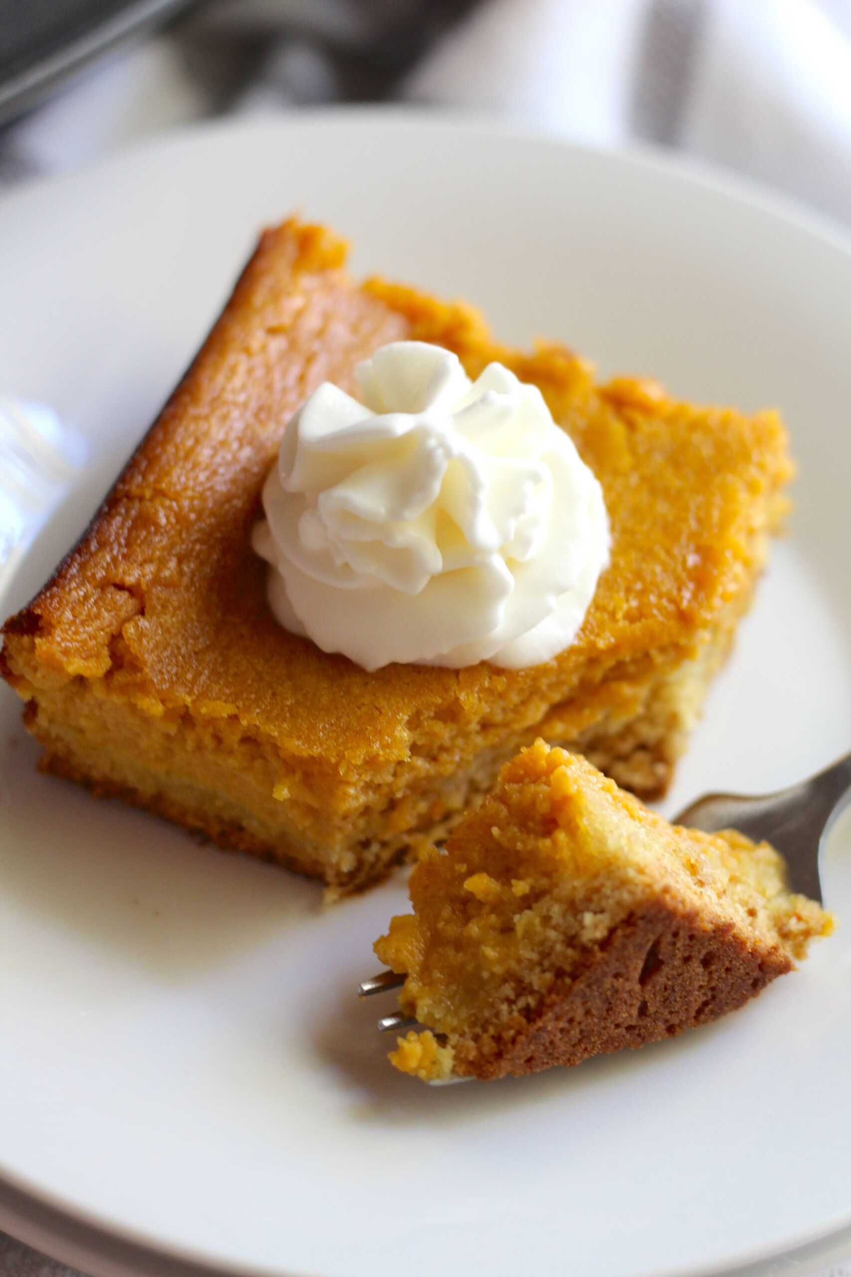 Pumpkin Gooey Butter Cake 11