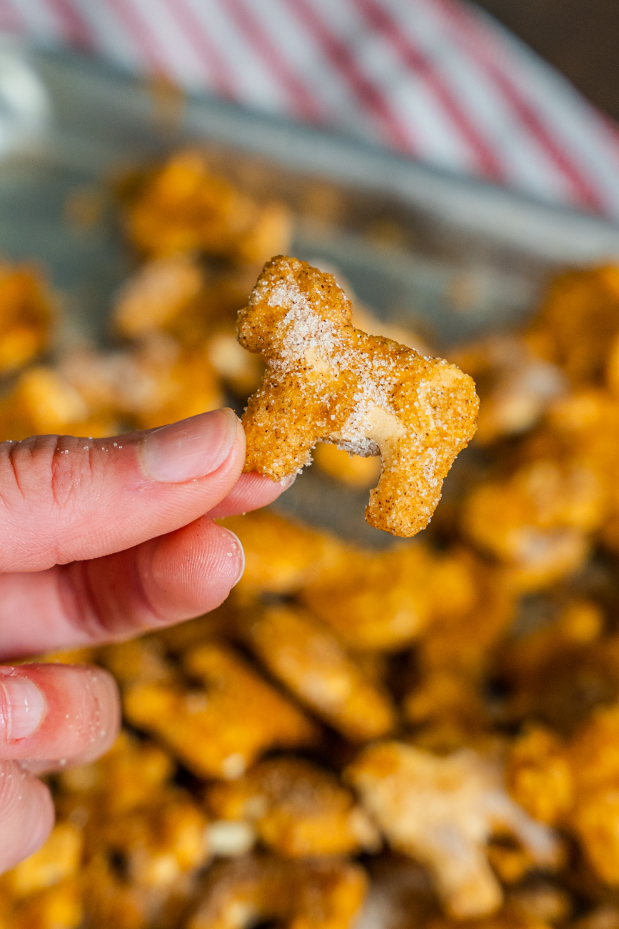 Circus Crunch Vertical 17