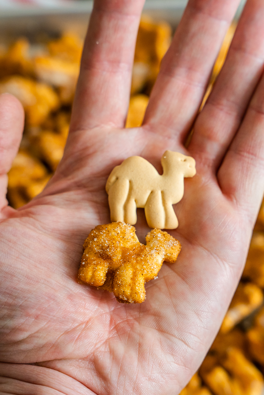 Circus Crunch Vertical 15