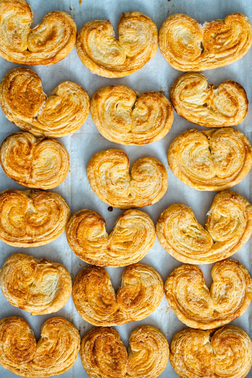 Easy Palmiers Vertical 12