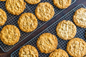 Hobnobs Horizontal 5