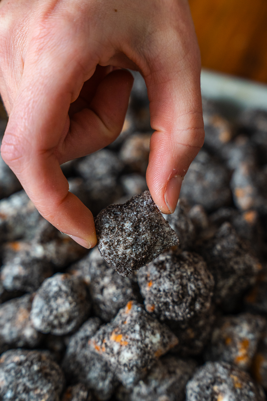 Coal Miner Bites Vertical 10