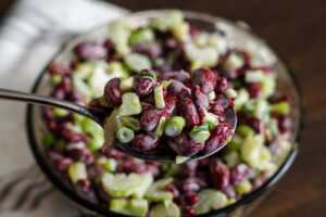 Old Fashioned Red Bean Salad Horizontal 00001