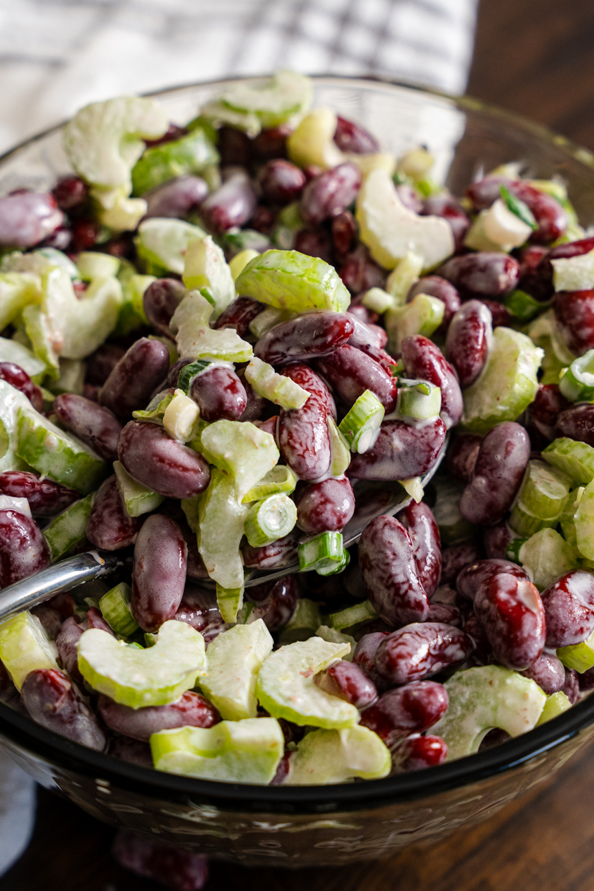 Old Fashioned Red Bean Salad Vertical 00013