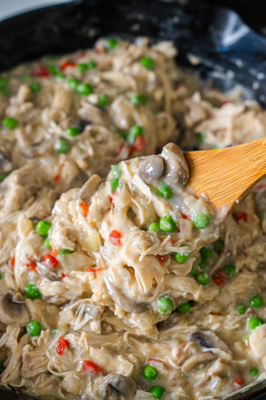 Chicken a la King Vertical 12