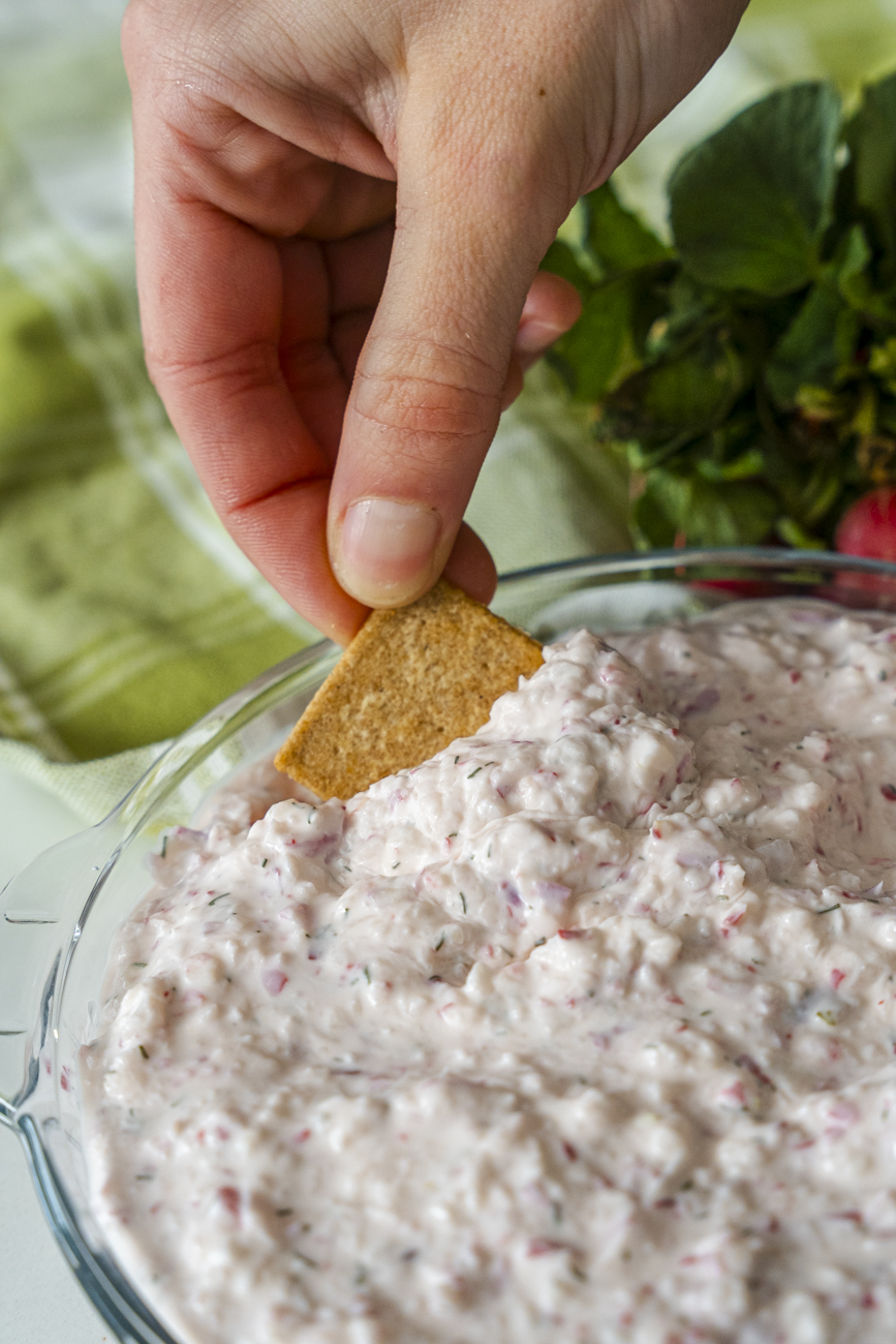 Radish Dip Vertical 11