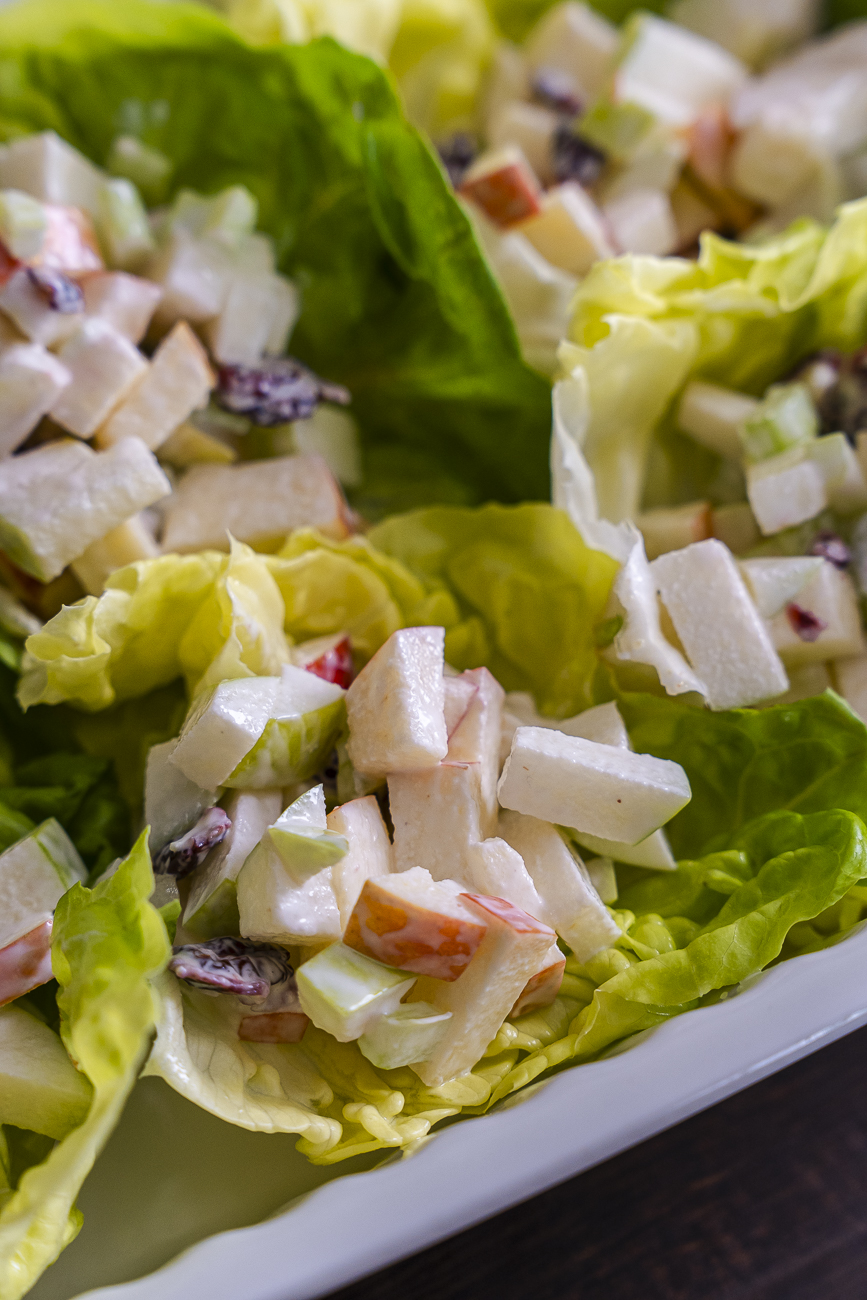 Copycat Ruby Tuesday Apple Salad Vertical 12