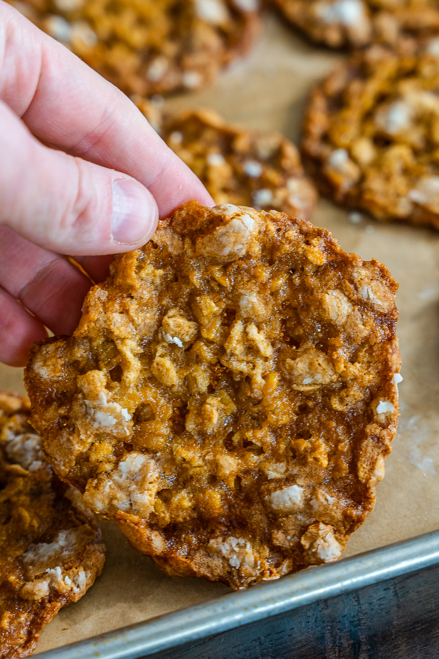 Oatmeal Crackle Cookies Vertical 9