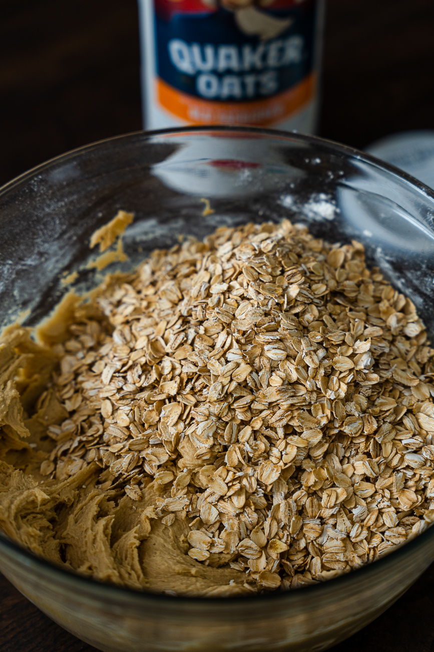Oatmeal Crackle Cookies Vertical 2