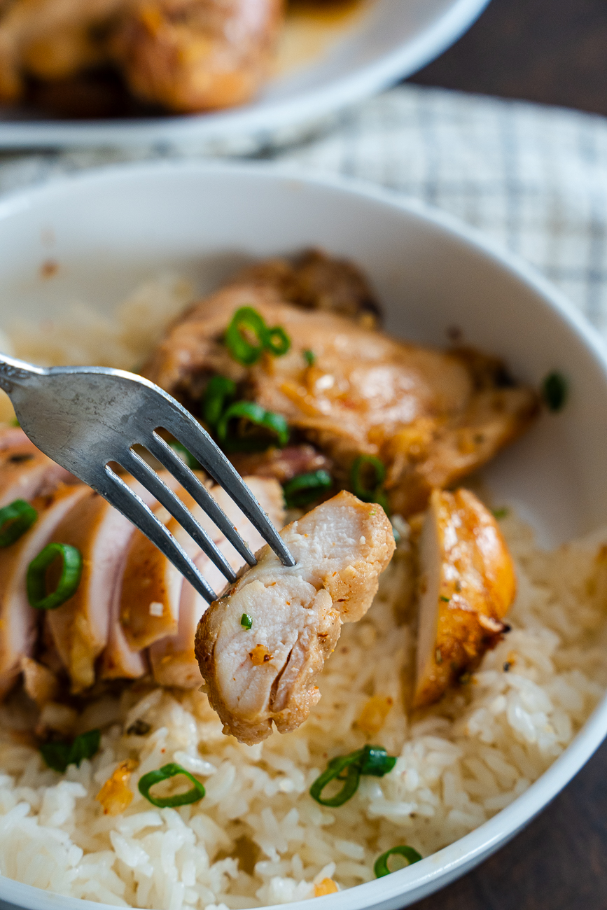 Shoyu Chicken Vertical 27