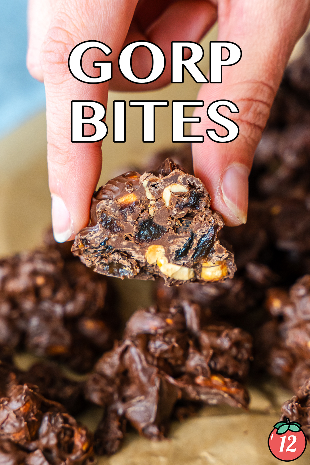 GORP Bites -image