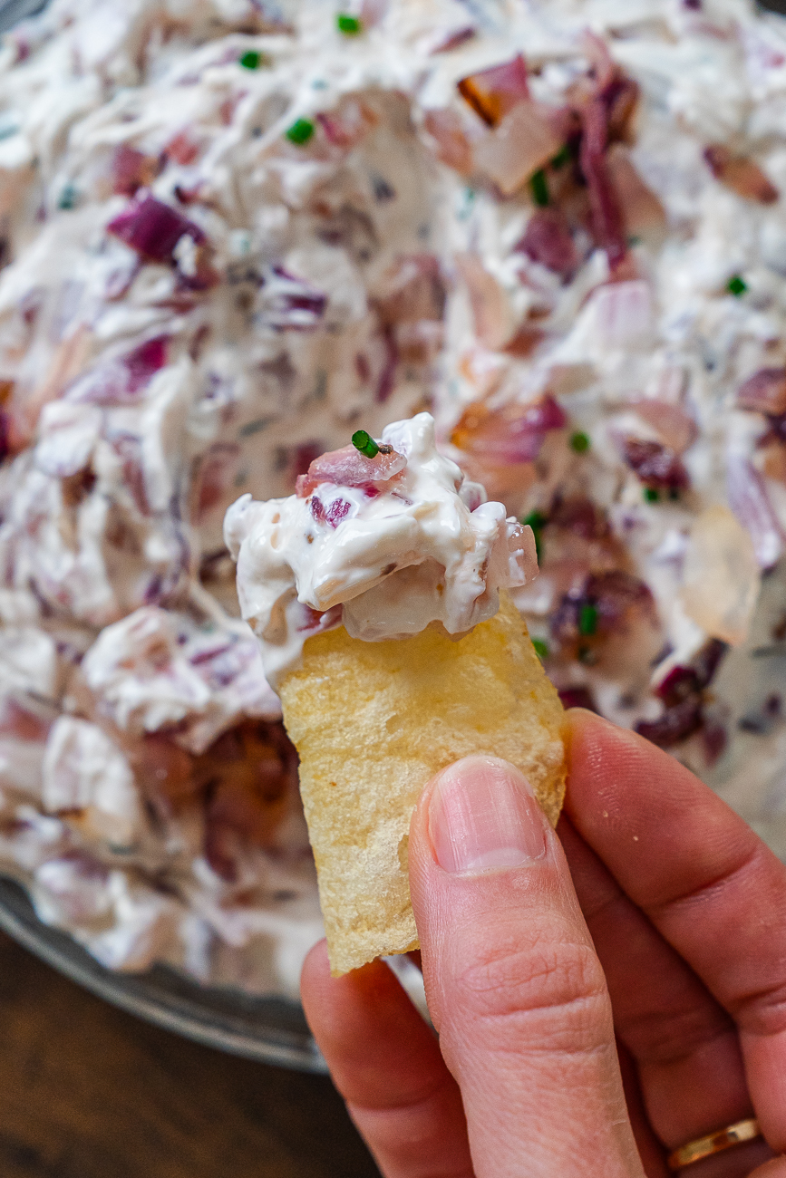 Red Onion Party Dip Vertical 10