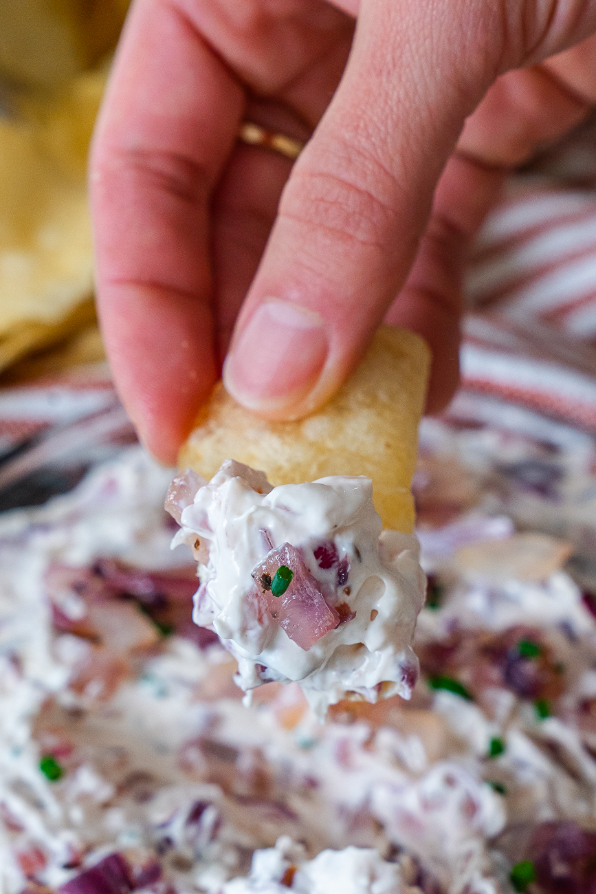 Red Onion Party Dip Vertical 9