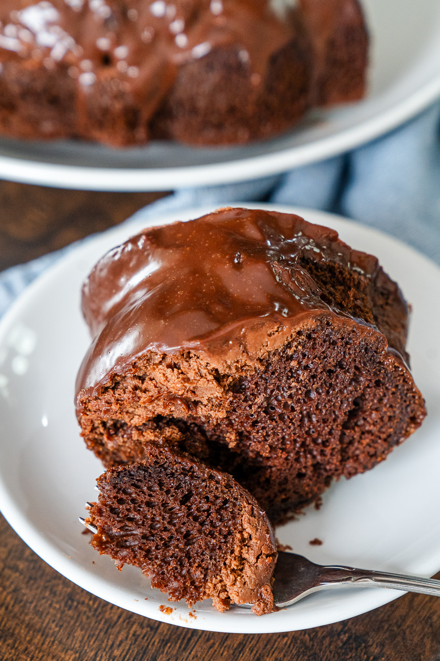 Tunnel of Fudge Cake Vertical 9