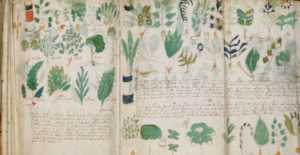 The Mysterious Voynich Manuscript Is Still Stmpuing Code Breakers 600 Years Later