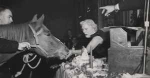 Meet Sergeant Reckless, the Horse Who Was Awarded TWO Purple Hearts