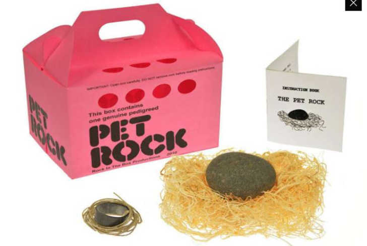 The Rise and Fall of the Pet Rock: A Look Back at the 1975 Holiday Craze -  Rare Historical Photos