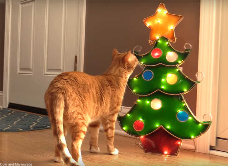 jelly cat christmas tree