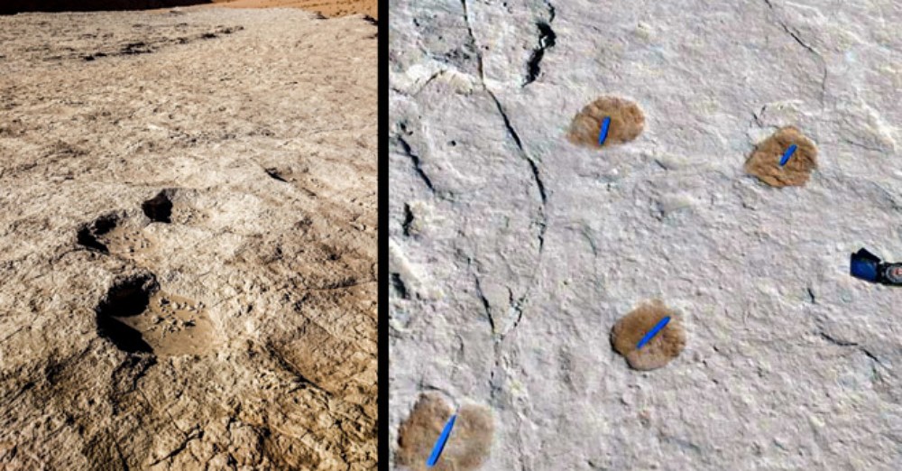 Oldest Footprints Outside Africa Found In Saudi Arabia | Dusty Old Thing