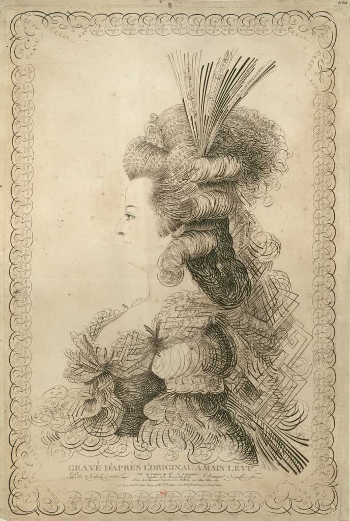 illustrayion of one of Marie Antoinette's elaborate