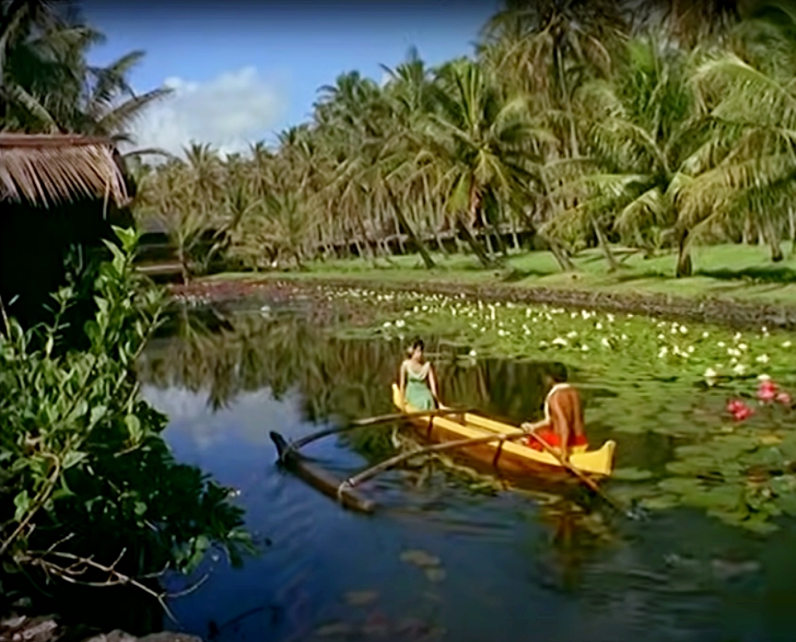 Hawaii in the 1960s