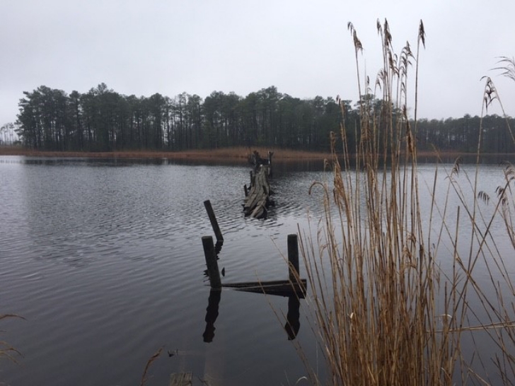 wetlands near the home of Ben Ross, Harriet Tubman's father