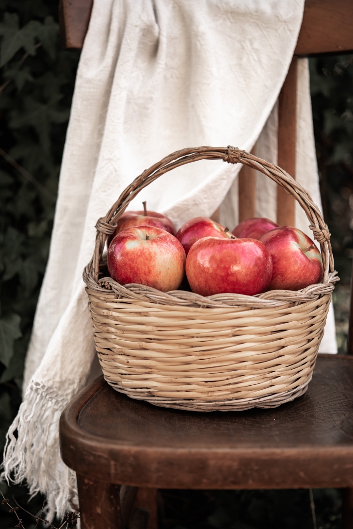 basket of apples on a chair