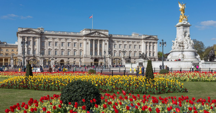 How Much It Would Cost To Rent Buckingham Palace? | Dusty Old Thing